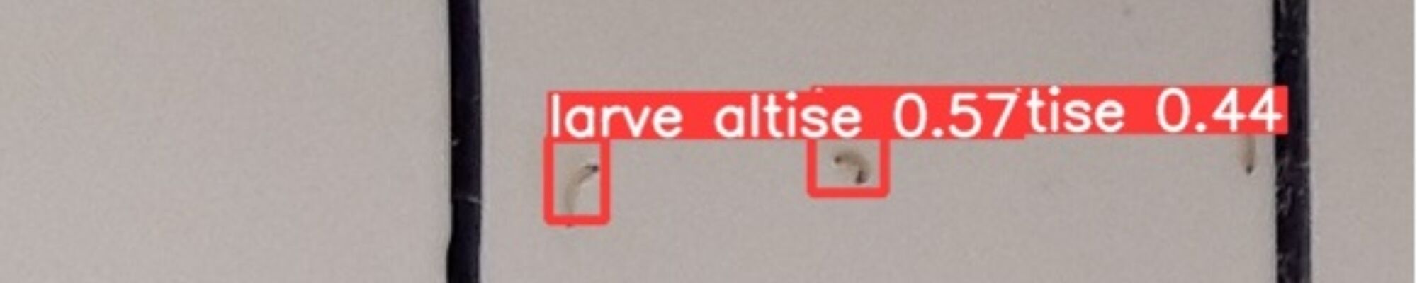 BerlEyes_Bandeau article_Crédits Terres Inovia.jpg